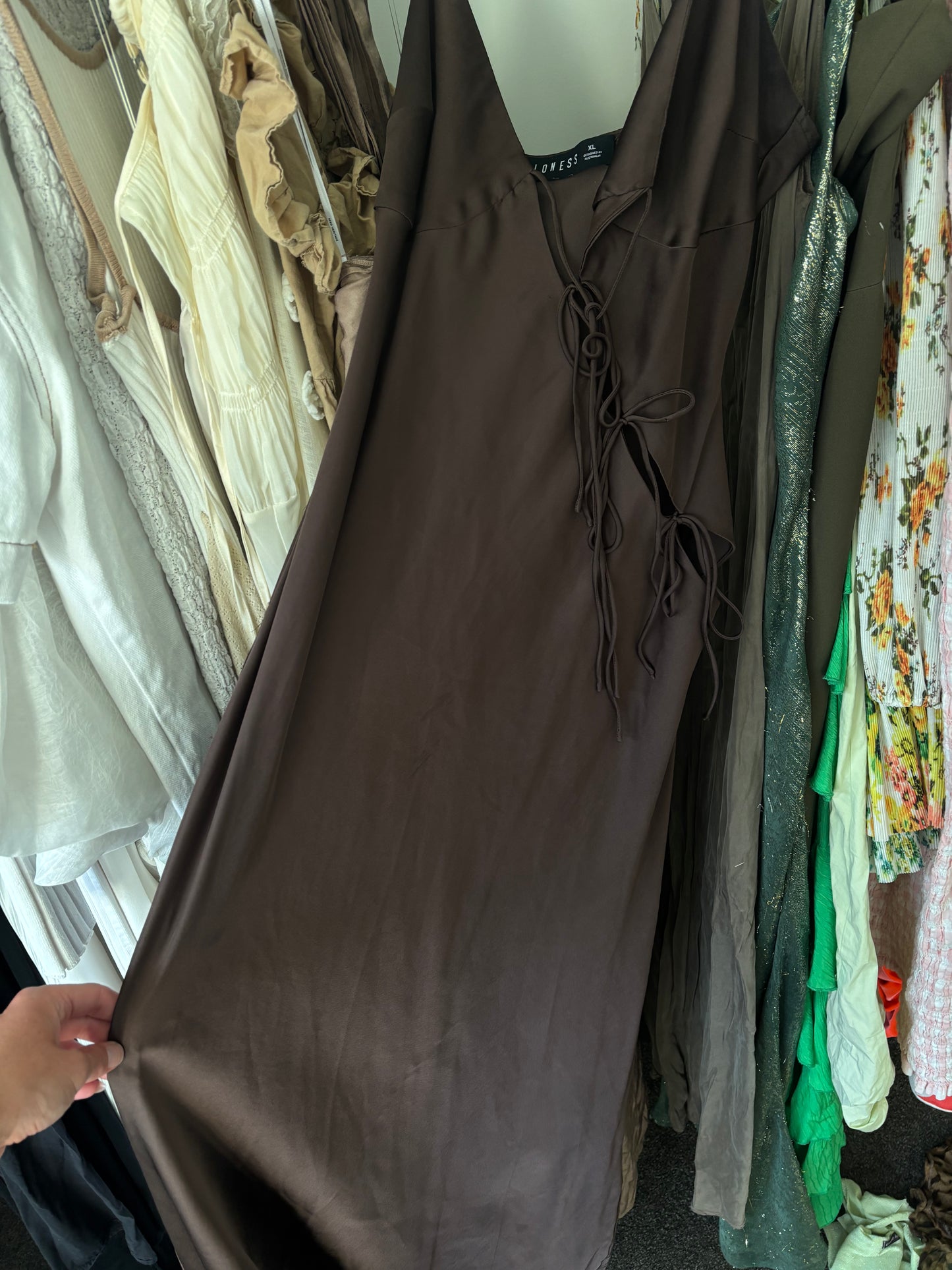 Lioness about a girl maxi