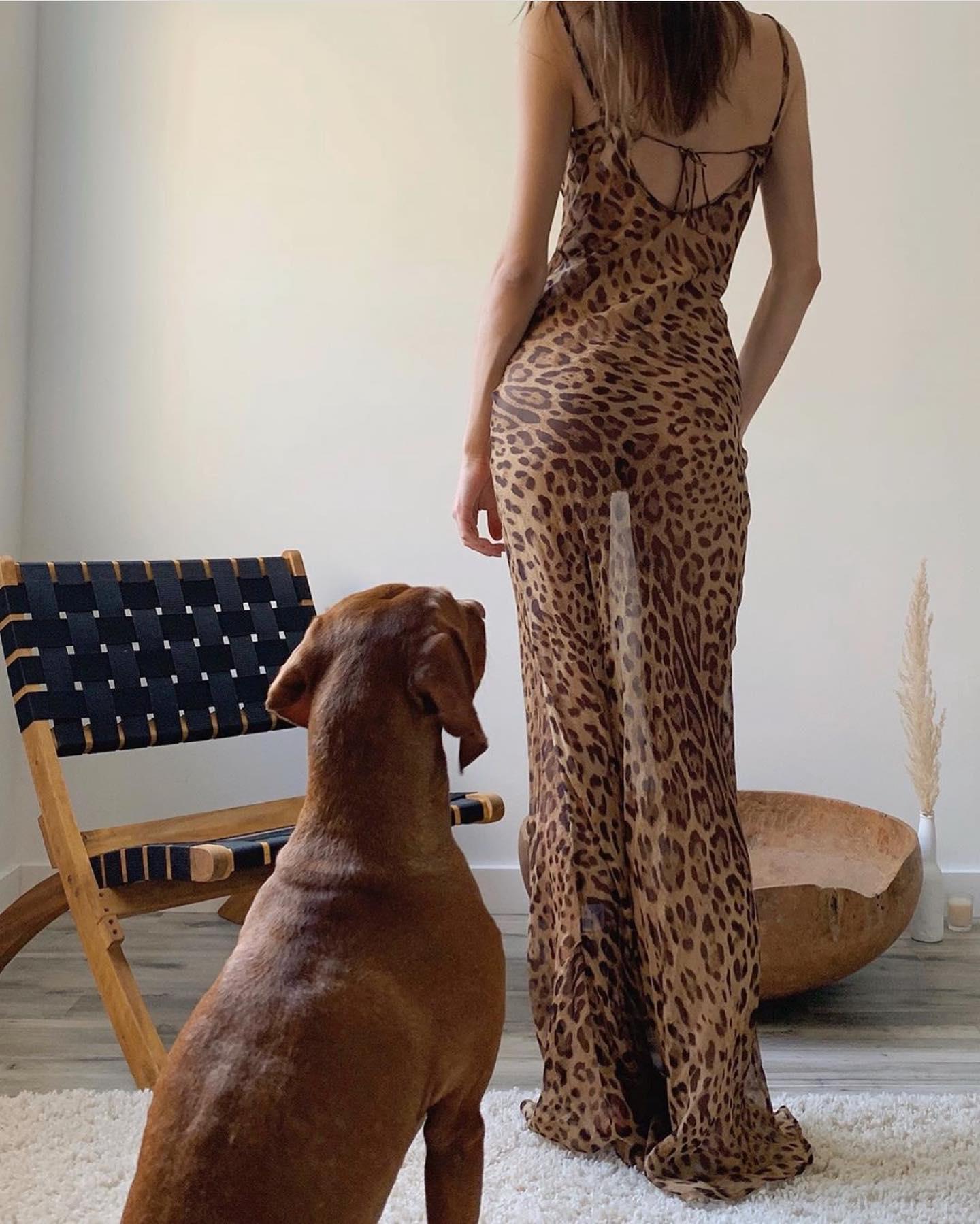 Rat and Boa Valentina dress OH Rents Rat and Boa Valentina dress OH Rents